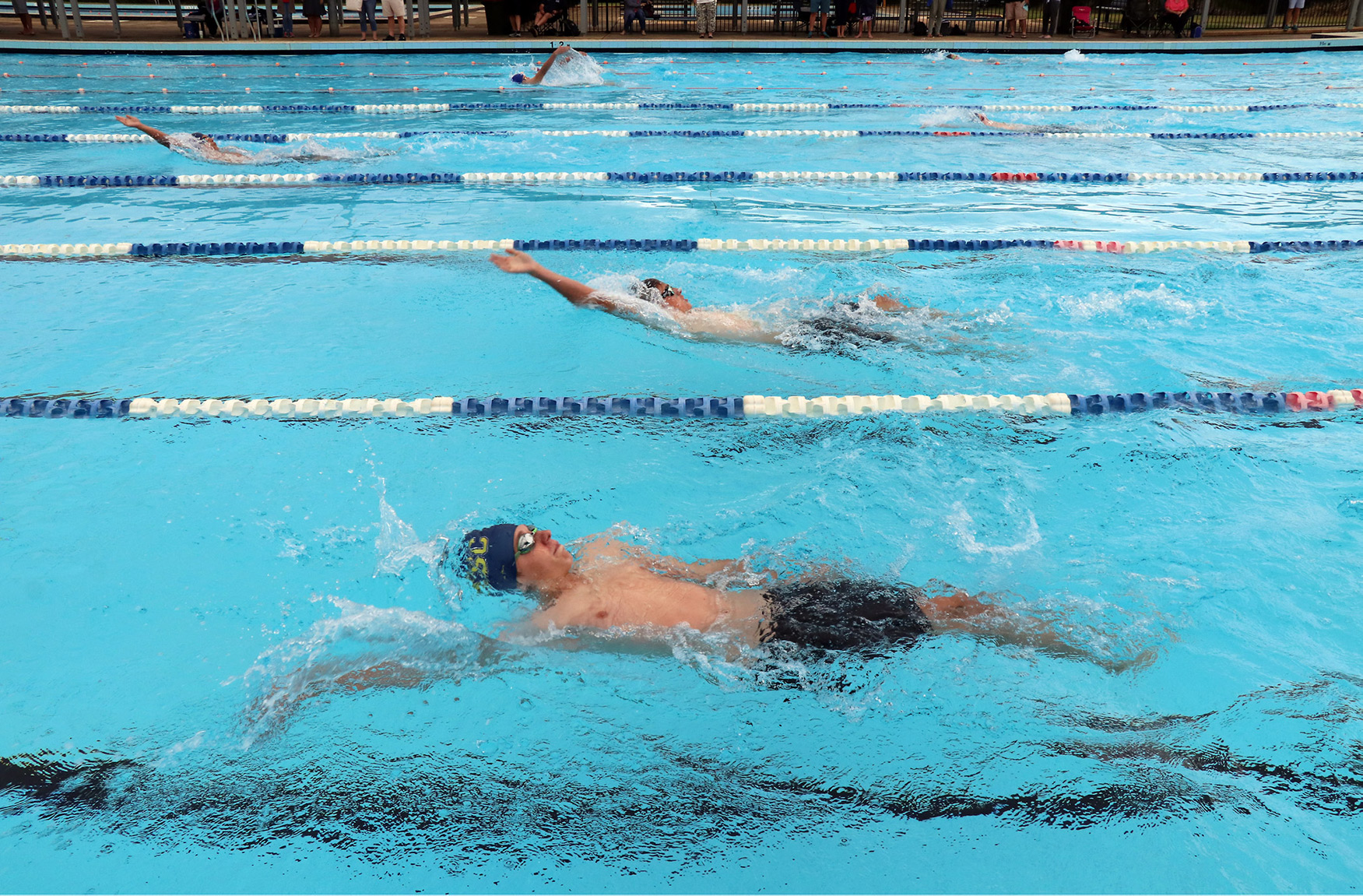 College Swimming Carnival Edmund Rice College